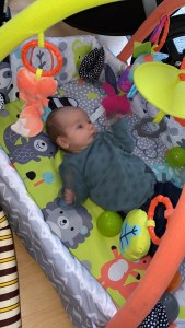 Alice a small baby with brown hair is wearing a dark green long sleeved top and blue jeans. Alice is laying in a multicoloured play gym with various animals on. There are various coloured toys dangling from an orange and light green arch above which Alice is trying to reach. 